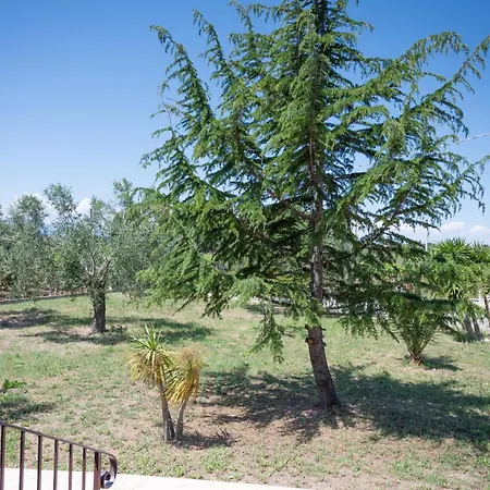 Dom wakacyjny Costa Dei Trabocchi Ortona - Sea View *